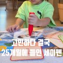 용PC랜드 | 국민육아템 세이펜 / 고민하다 결국 25개월에 들인 후기