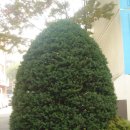 상인평광 이미지