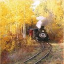 멍이하루 이미지