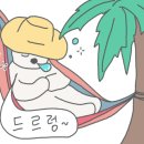 모찌펫살롱 이미지