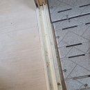 금빛크린 이미지