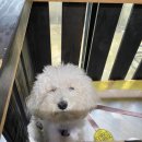 호미식당 이미지