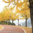 원문공원(말구리) 이미지