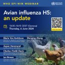 WHO EPI-WIN 웨비나: 조류 인플루엔자 H5: 업데이트 2024년 6월 6일 목요일 13:00~14:15 동부 표준시(제네바 이미지