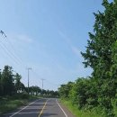 표선면-3 이미지