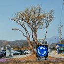 양평수목 브레이크뉴스