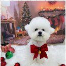 그루밍온 이미지