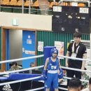 복싱피스트 용당 이미지