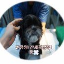 365 신원당 동물병원 이미지