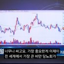 허니담