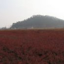순백감성 네이버블로그