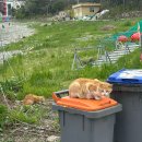 은하횟집 이미지