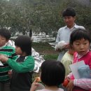 한돌 농원 Daum카페