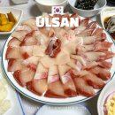 남구-166 | 울산 방어회 맛집 청우횟집 삼산 남구 대방어 포장