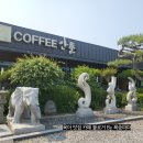 안뜰안 | 청주 근교 증평 초중리카페 [카페안뜰] 아기랑 방문 후기