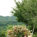 선미농장 이미지