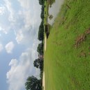 e-푸른마트 | 직장인 필리핀골프연수 클락e&amp;g어학원!