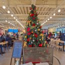 엠제이 | 대전 관저동 맛집 브런치 카페 추천 서남부 파머스마켓 파스타맛집 MJMJ 엠제이엠제이카페 후기