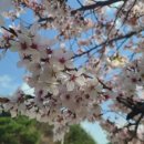 석포면 보건지소 이미지