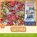 명진식당 | 천만유튜버 쯔양님이 극찬한 목포낙지탕탕이가 맛있는 명진맛집 방문후기