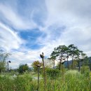 하늘담다 이미지