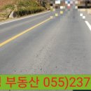 동읍1000 이미지