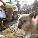 상경축산 이미지