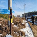 청춘풍차펜션 이미지