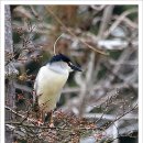 호박부동산공인중개사사무소 이미지