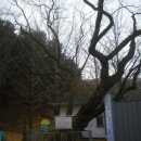 지둔2리 이미지