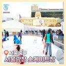서울광장 스케이트장 2024 서울시청 스케이트 예약 후기