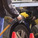 금 강  2 이미지