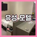 유성스테이호텔 이미지