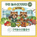 농수산길 | [구리 농수산기자단 3기 첫번째 이야기] 기자단 선정 후기와 공사·팀 소개
