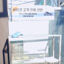 더워시(THE WASH) 이미지