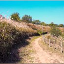 공항교강변공원 이미지