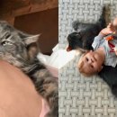 시화힐링낚시터 이미지