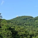 운림산방주차장 이미지
