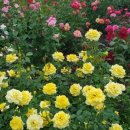 평화공원내 이미지