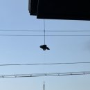 삼동스테이 이미지