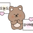 제주뮤직바튠
