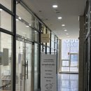 위드미 하남키즈웰점 | 하남 미사 반려동물 편집샵 추천 | 제로포스튜디오