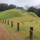 연산동고분군 이미지