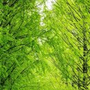 자연의소리 이미지