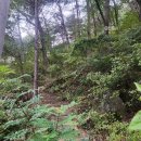 제암산등산로 | 산행 사고 90%는 여기서 의외로 위험한 등산코스 낙엽과 진흙길