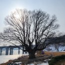 경기둘레길 여주34코스 | 경기둘레길 여주 34~35코스 (2025.2.15)