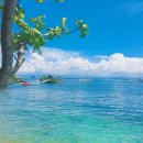 (주)맞춤투어 이미지