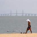 무지개카라반 이미지