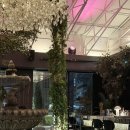 더테라스 | 청담 피플더테라스 방문 후기 | 분위기 좋은 청담 맛집 &amp; 데이트 코스 추천