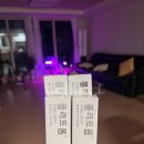 도담이네 이미지